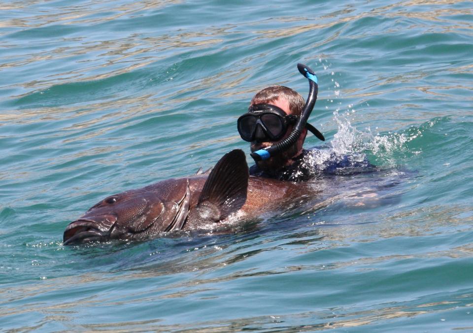 Merrill McCauley, a marine patrol ranger, helps rescue a giant sea bass in the Channel Islands National Park.