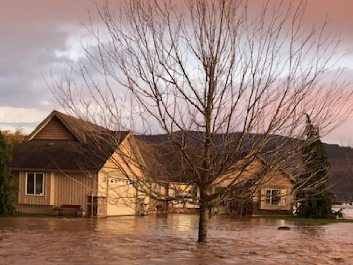 All 20 hectares of the Ackermanns' home and farm were flooded last November as the region experienced devastating extreme weather. (Submitted by Marcel Ackermann - image credit)
