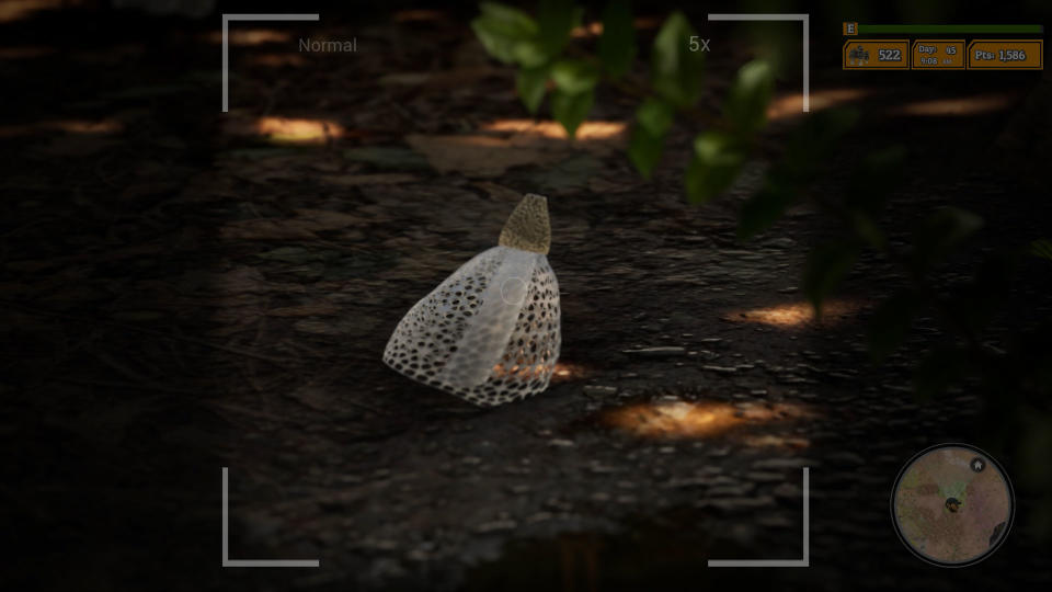 Morels: The Hunt 2 screenshot