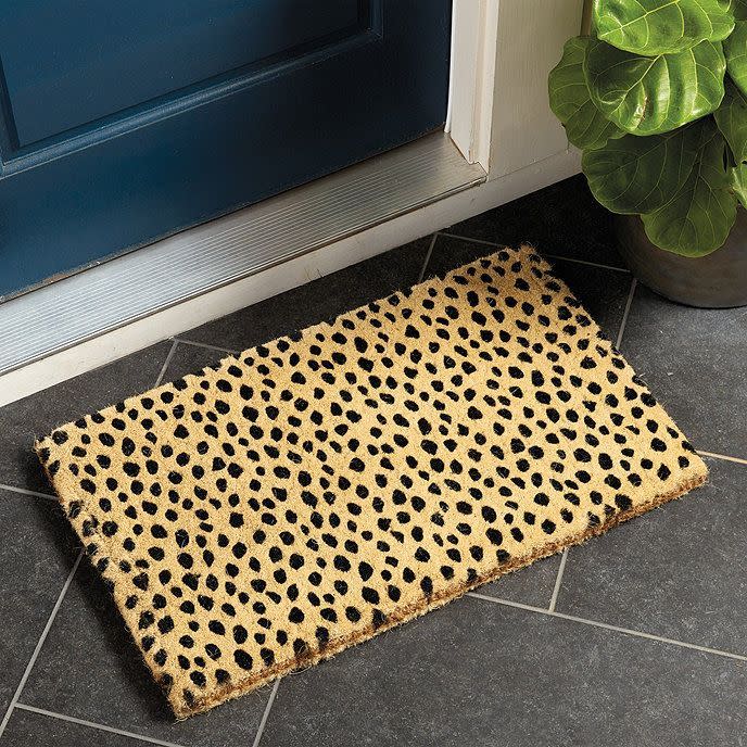 8) Dodie Coir Mat