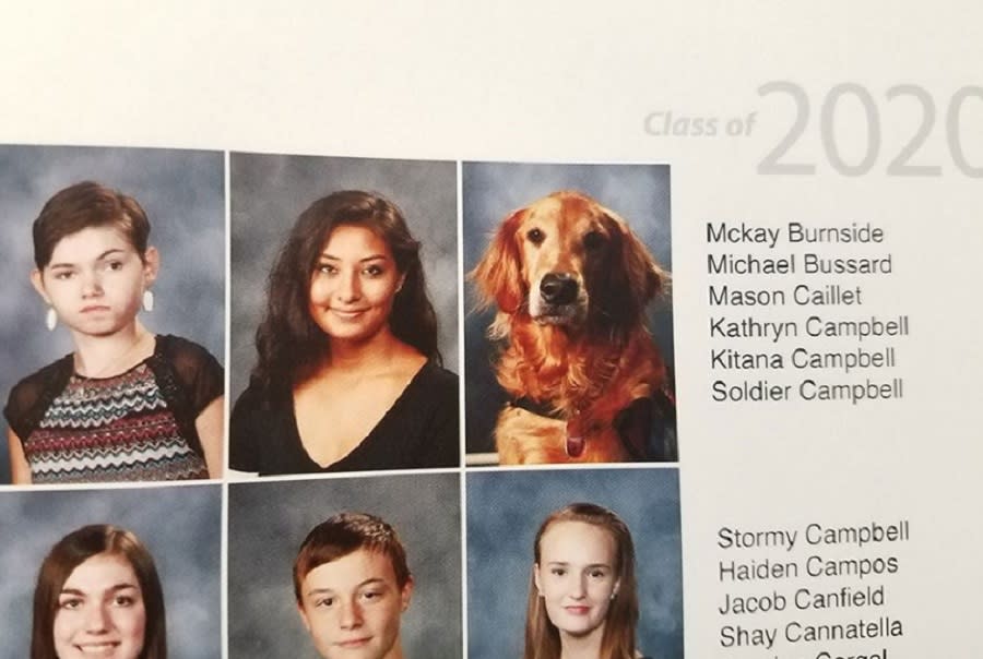 This dog got a yearbook picture for the most heartwarming reason