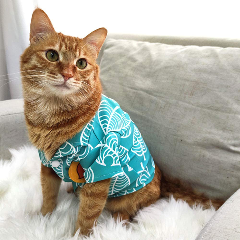 yudanae animal tom shirt for cat