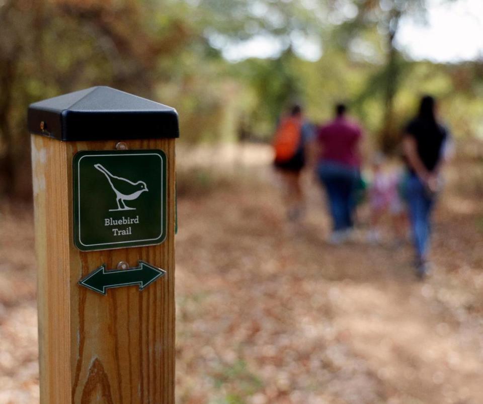 Cross Timbers Forest Preschool class took the Bluebird Trail for their outside activity at the Bob Jones Nature Center and Preserve in Southlake on Friday, Sept. 22, 2023. The class normally walks a mile a day to study nature.