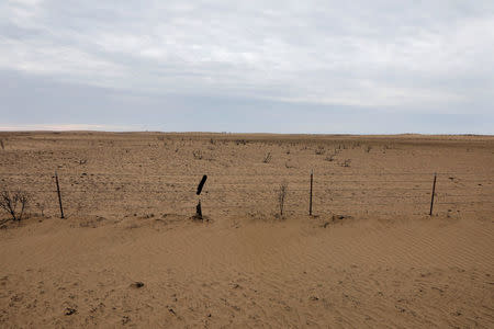 A fire damaged fence stands above pasture that has been destroyed by wildfires near Ashland, Kansas, U.S., March 13, 2017. REUTERS/Lucas Jackson