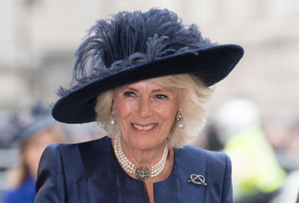 LONDON, ENGLAND - MARCH 09:  Camilla, Duchess of Cornwall attends the Commonwealth Day Service 2020 on March 09, 2020 in London, England. (Photo by Samir Hussein/WireImage)