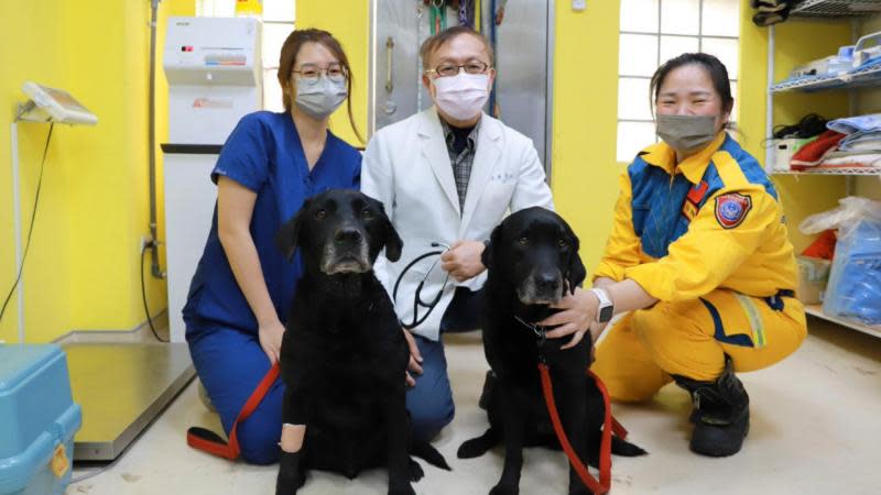 中市搜救犬赴土耳其救災返國　中興大學USR獸醫協助健檢