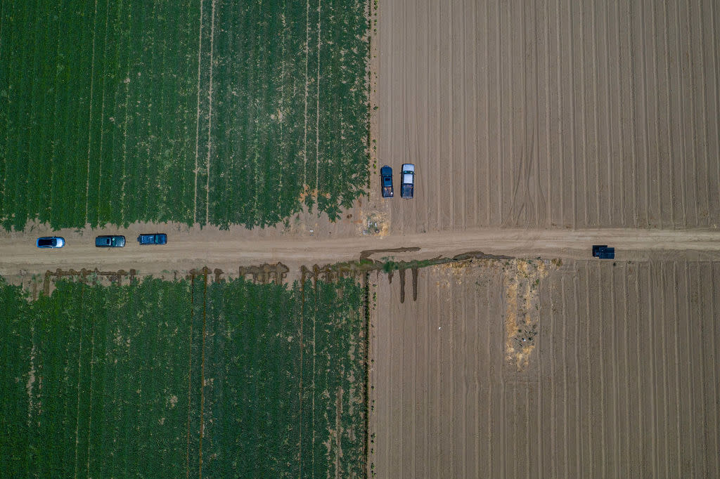 Farm Operations As Californians Are Asked To Use Less Water And Power