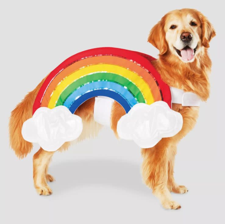 Get this <a href="https://goto.target.com/nakJa" target="_blank" rel="noopener noreferrer">Rainbow with Clouds Halloween Pet Costume</a> for $13 at Target. It's available in sizes XS-XL and has a Velcro strap.