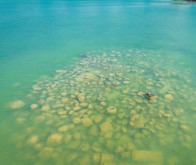 A rock pile from Lake St. Clair near the area of Russell Woods is shown in the summer of 2022.