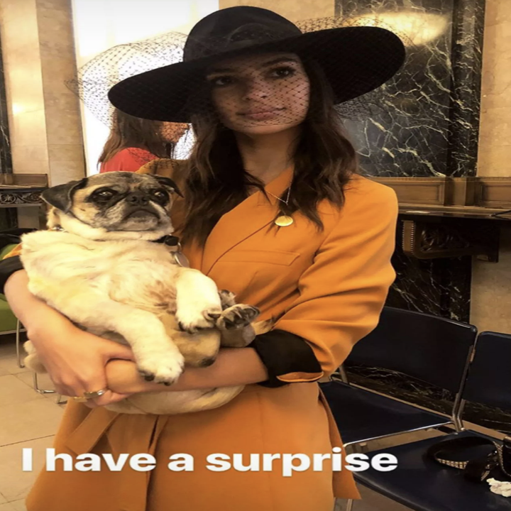 holding her dog in an IG story with the caption, i have a surprise