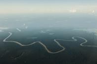 An aerial view of a tributary of the Solimoes river, one of the main tributaries of the Amazon, in the Mamiraua nature reserve where villagers fish for arapaima or pirarucu, the largest freshwater fish species in South America and one of the largest in the world, near Tefe about 600 km (373 miles) west of Manaus, November 28, 2013. Catching the arapaima, a fish that is sought after for its meat and is considered by biologists to be a living fossil, is only allowed once a year by Brazil's environmental protection agency. The minimum size allowed for a fisherman to keep an arapaima is 1.5 meters (4.9 feet). Picture taken November 28, 2013. REUTERS/Bruno Kelly (BRAZIL - Tags: ENVIRONMENT SOCIETY ANIMALS) ATTENTION EDITORS: PICTURE 22 OF 22 FOR PACKAGE 'FISHING FOR BRAZIL'S FOSSILS'. TO FIND ALL IMAGES SEARCH 'ARAPAIMA KELLY'