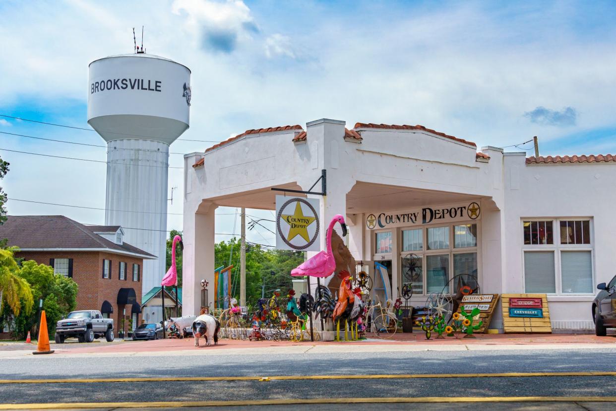 Brooksville water tower and Country Depot collectibles store - Brooksville, Florida, USA