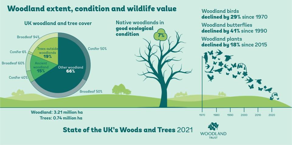 A shocking 93 per cent of the country’s woods are not in good ecological conditionPA