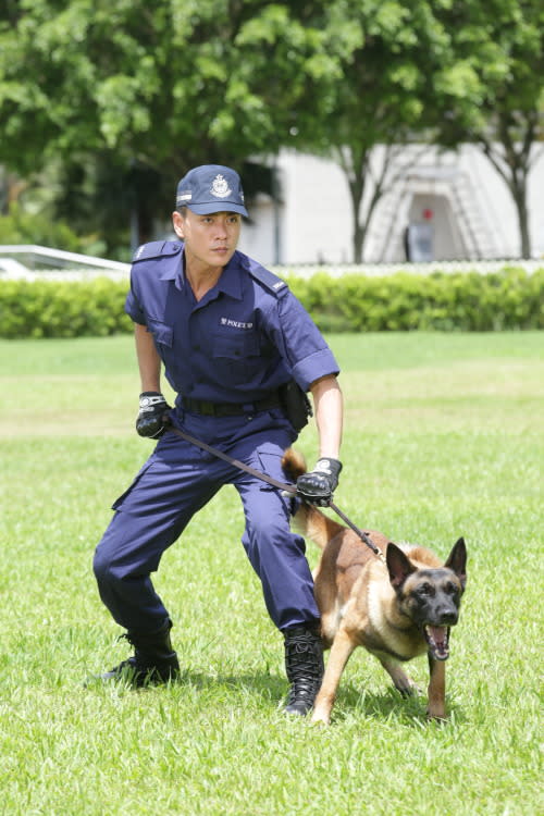 《警犬巴打》2016年