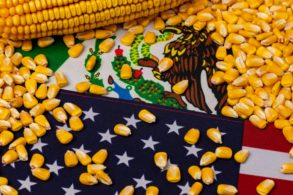 El tratado comercial que mantiene México con Estados Unidos y Canadá establece permitir la entrada de maíz transgénico al país azteca (Foto:Getty)