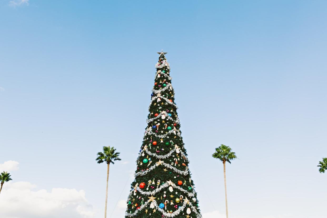 Hawaii is one of the best destinations to visit for a holiday getaway. Pictured: a decorated Christmas tree surrounded by clear blue sky and palm trees