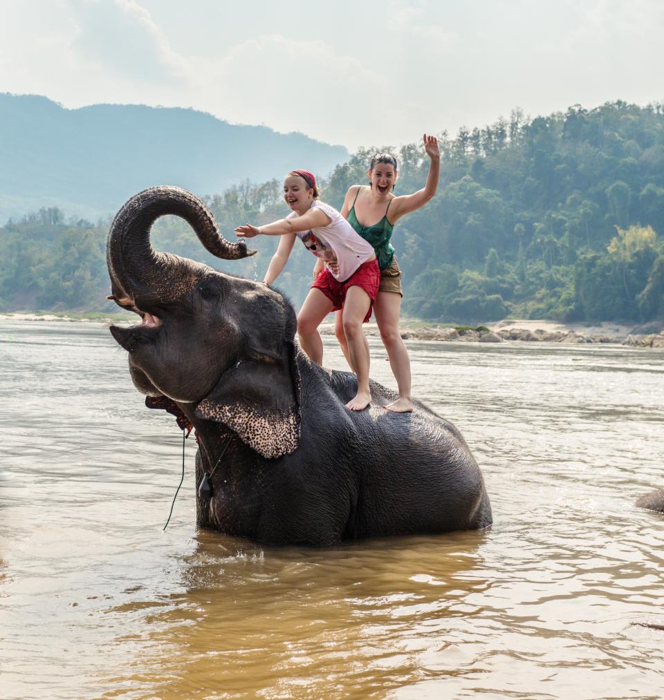 Situationen wie diese sind für einen Elefanten völlig unnatürlich. Tiere in Gefangenschaft können außerdem unberechenbar werden. (Bild: Getty Images)