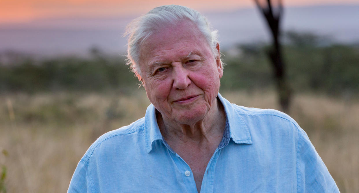 Sir David Attenborough narrates all eight episodes of Netflix's <i>Our Planet</i> which launches Friday. (Netflix)