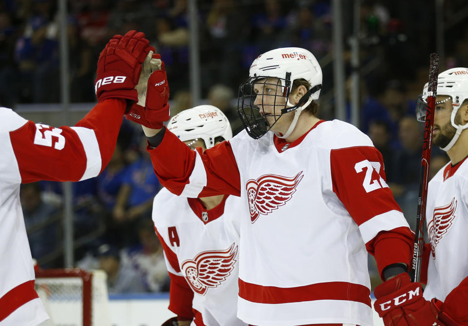 Detroit Red Wings right wing Matt Luff celebrates his goal with teammates during the second period of an NHL hockey game against the New York Rangers, Sunday, Nov. 6, 2022, in New York. (AP Photo/John Munson)