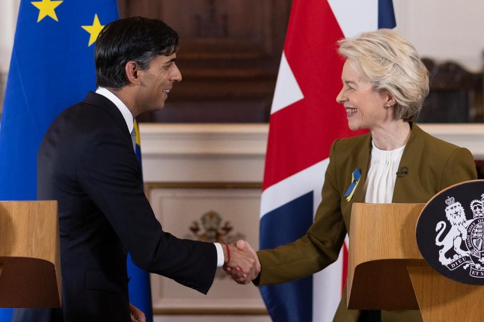 Rishi Sunak has been urged to seek another post-Brexit deal with the EU – this time on medicines (WPA Rota)