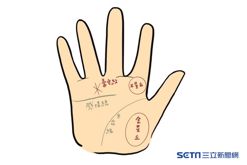 掌中有豪宅紋，財運非常旺，賺錢的門路也多。（圖／插畫家三條的水曜日和進行曲繪製）