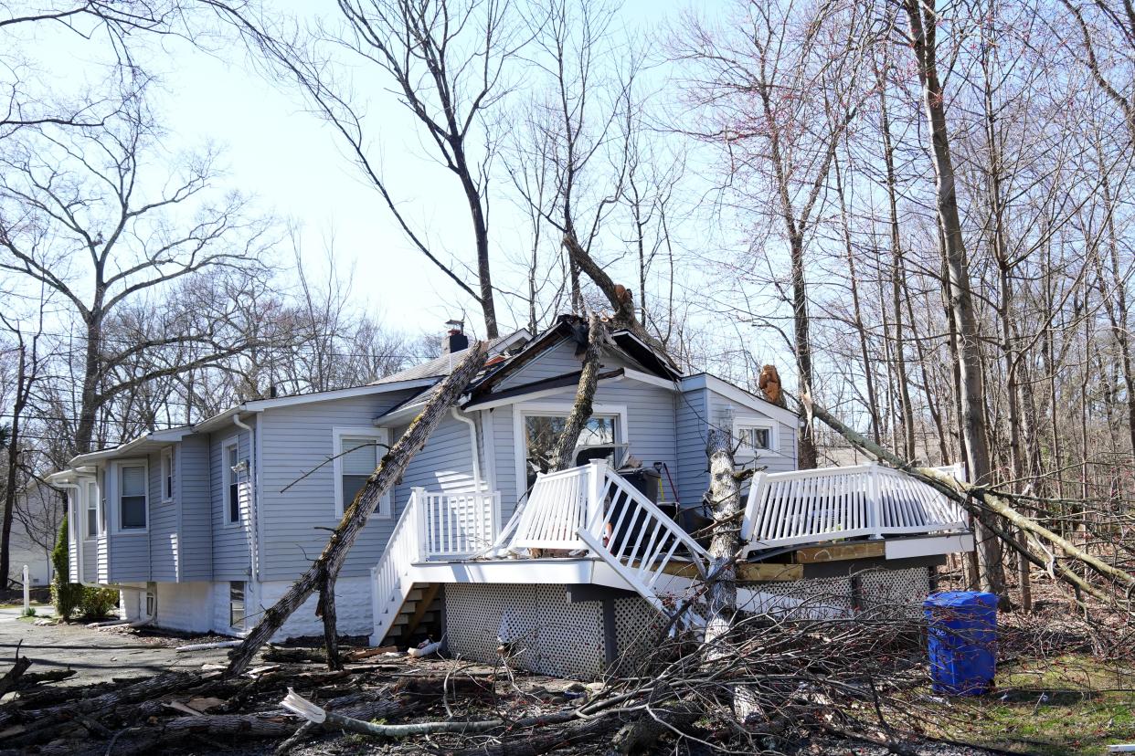 A tree is shown on top of a home on Riverside Dr. is shown, Monday, March 11, 2024, in Hillsdale.