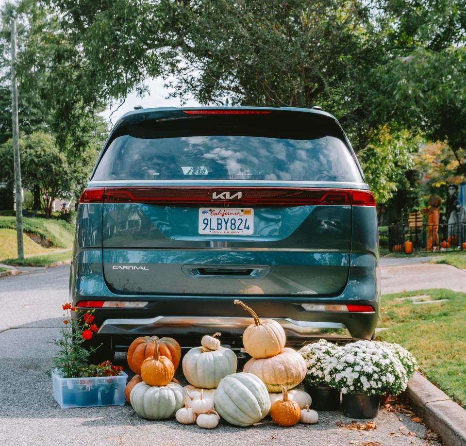 plants and pumpkins outside the kia on the ground