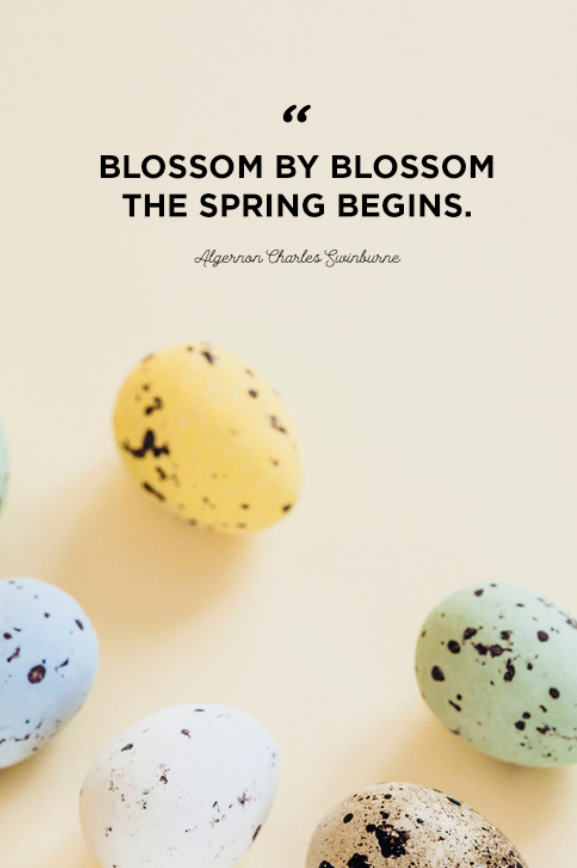 <p>"Blossom by blossom the spring begins."</p>