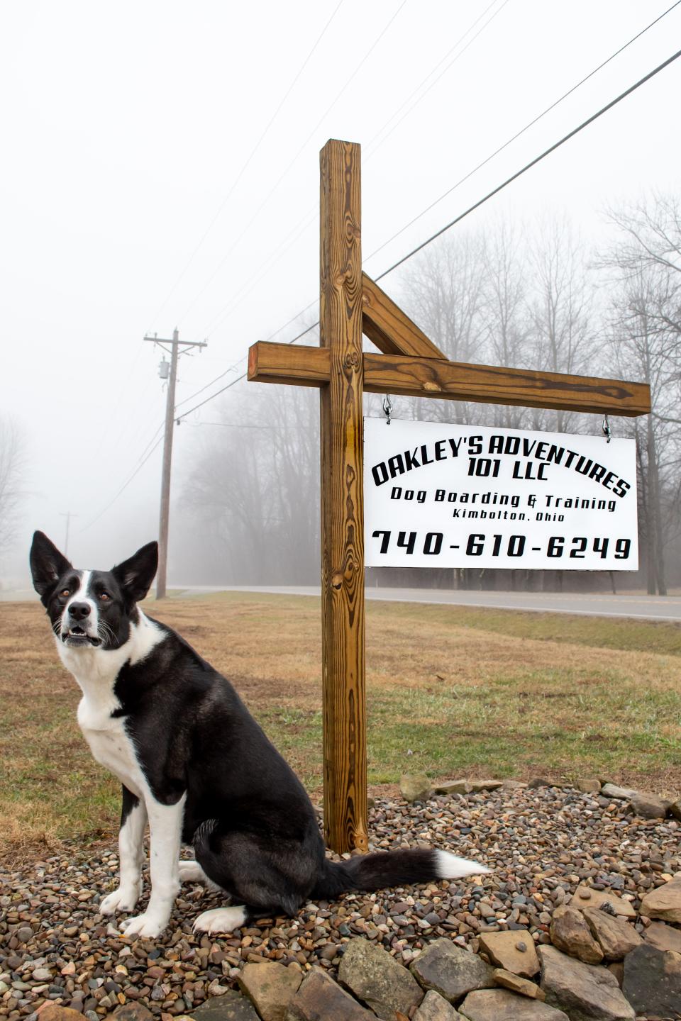 Oakley's Adventures 101 LLC, based out of Kimbolton, along with the business' namesake, Oakley. The facility offers boarding and training, and owner Katrina Ledwell travels to teach group and private sessions.