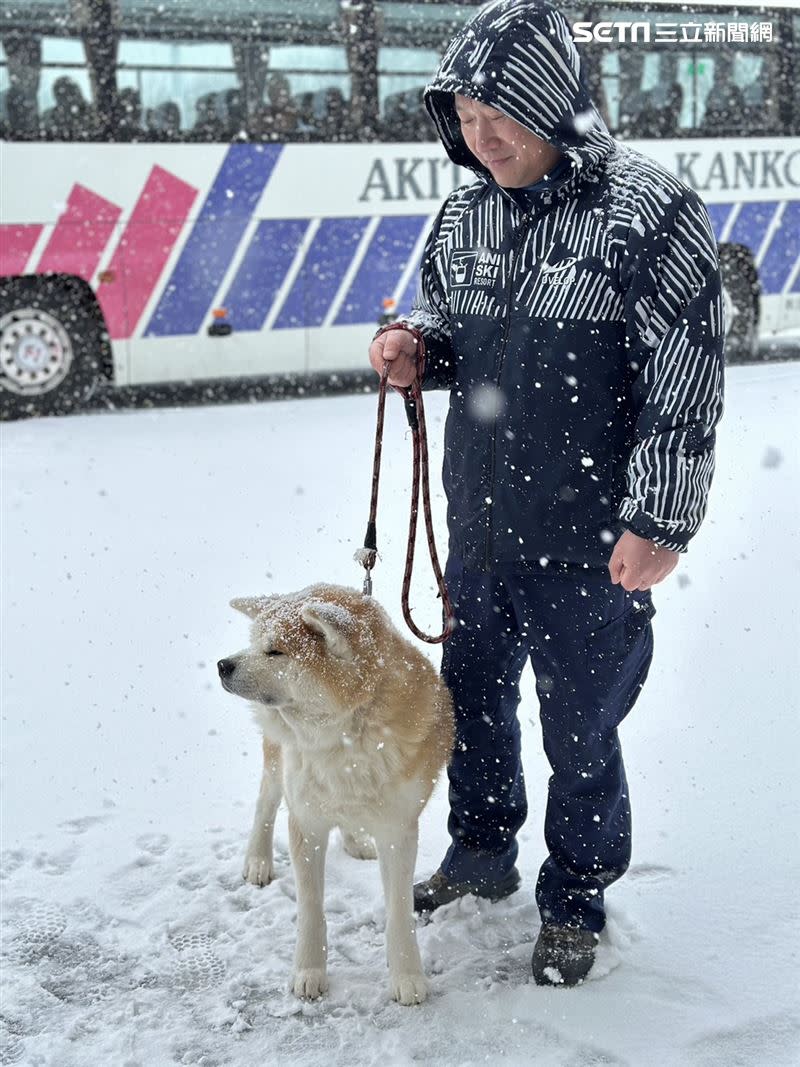 在雪場還有機會看到可愛的秋田犬！（圖／記者劉沛妘攝影）