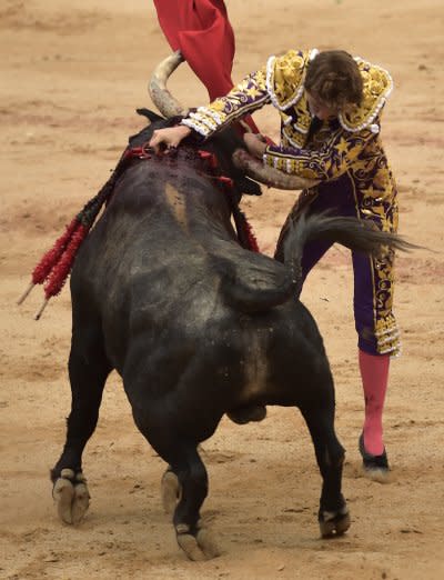 鬥牛是西班牙的傳統文化（AP）