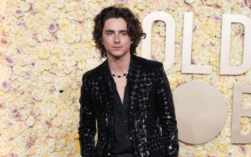 Timothée Chalamet wears a sequined Celine Homme suit to the 2024 Golden Globes (Jordan Strauss/Invision/AP)