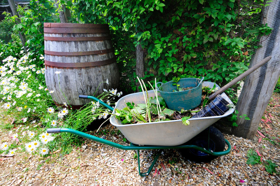 Experts highlighted the need for gardeners to capture water (Alamy/PA)