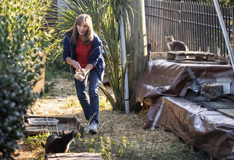 Molly Grady, founder of the Street Cat Society, checks on her cat colonies around Panama City on Jan. 5.