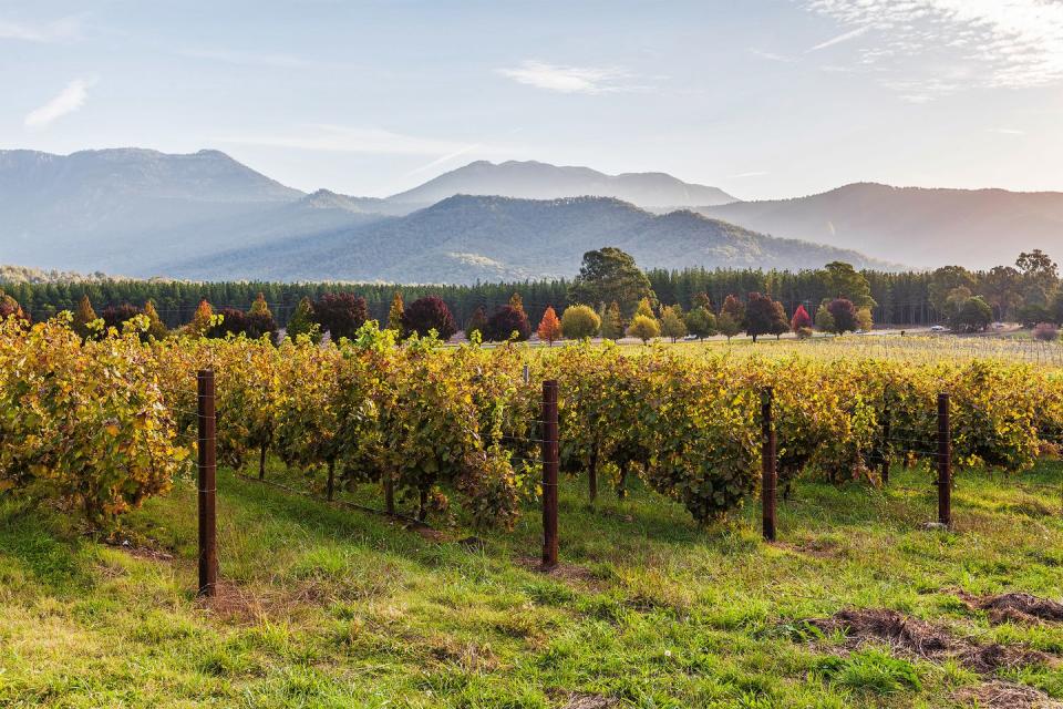 <p>Visit this breathtaking destination for its wildlife, wineries and Victorian-era architecture. Brilliantly, too, it has also been ranked 15th globally when it comes to ecosystem vitality.</p><p><a class="link " href="https://go.redirectingat.com?id=127X1599956&url=https%3A%2F%2Fwww.airbnb.co.uk%2Fs%2FSunbury--Australia&sref=https%3A%2F%2Fwww.housebeautiful.com%2Fuk%2Flifestyle%2Fg29439129%2Fairbnb-best-holiday-destinations%2F" rel="nofollow noopener" target="_blank" data-ylk="slk:BOOK NOW;elm:context_link;itc:0;sec:content-canvas">BOOK NOW</a></p>