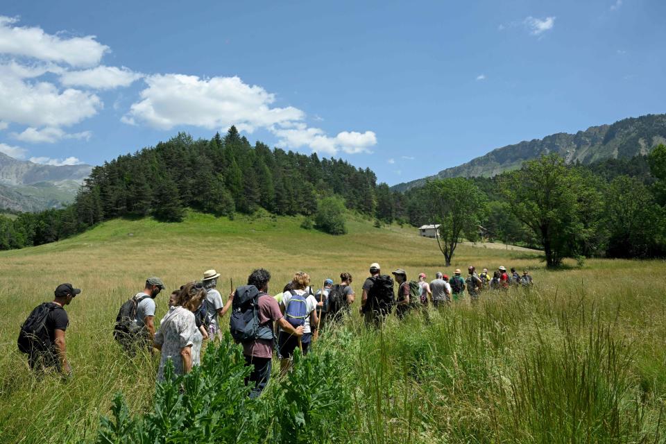 Volunteers take part in a search operation for two-and-a-half-year-old Emile who is reported missing for two days, on 10 July (AFP via Getty Images)