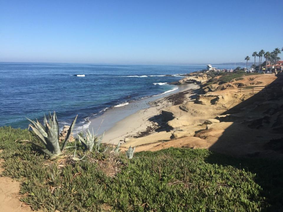 View of La Jolla beach.