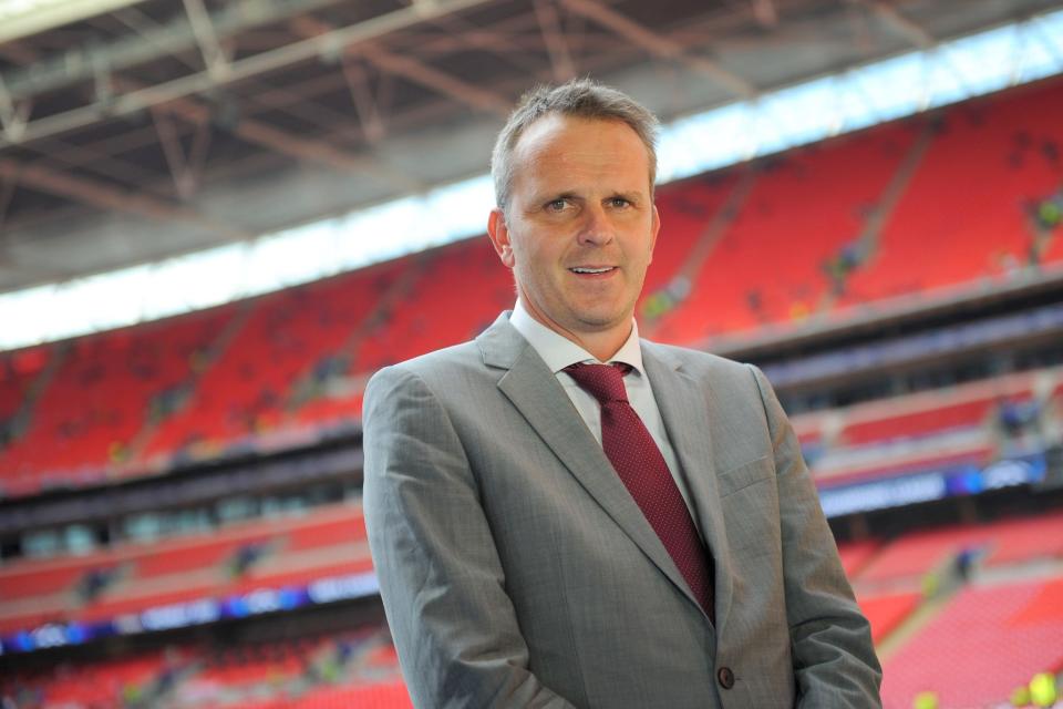 German support: Dietmar Hamann thinks football can come home
