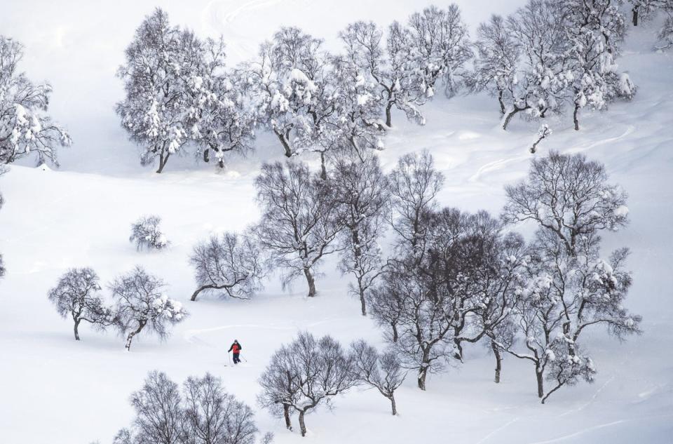 Braemar, in Aberdeenshire, as it saw temperatures fall to minus 23C in February 2021 (Jane Barlow/PA) (PA Archive)