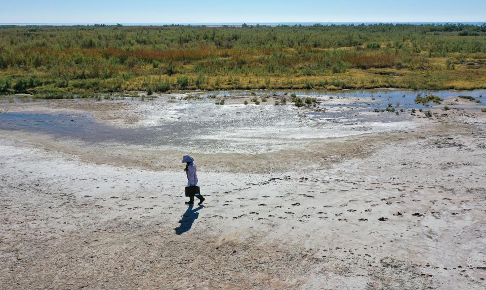 Camila Bautista with Audubon California walks toward emerging wetland area to take water samples along the former shoreline of the Salton Sea near Bombay Beach, Calif., Nov. 6, 2023.