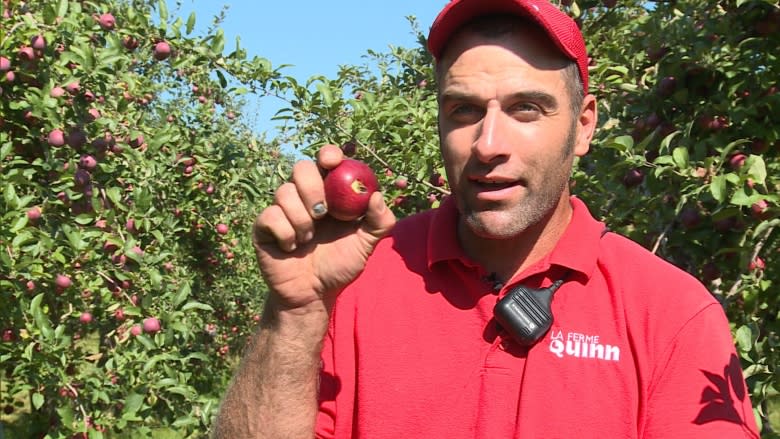 Unusual weather a blessing and curse for Quebec farmers