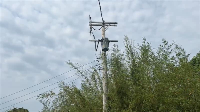 飼主懷疑閃電擊中變電箱後引起電線走火，鴿舍遭到波及。（圖／翻攝畫面）