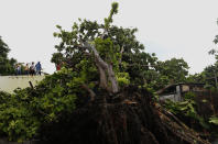 <p>MIA17. SAN JUAN (PUERTO RICO), 07/09/2017.- Vista de destrozos en el barrio de Santurce tras el paso del huracán Irma, hoy jueves, 7 de septiembre de 2017, en San Juan (Puerto Rico). El gobernador de Puerto Rico, Ricardo Rosselló, informó hoy que fallecieron tres personas en hechos relacionados con las malas condiciones climatológicas causadas por el paso del huracán Irma, mientras que los mayores incidentes que se han registrado son árboles y postes eléctricos caídos. EFE/Thais Llorca </p>