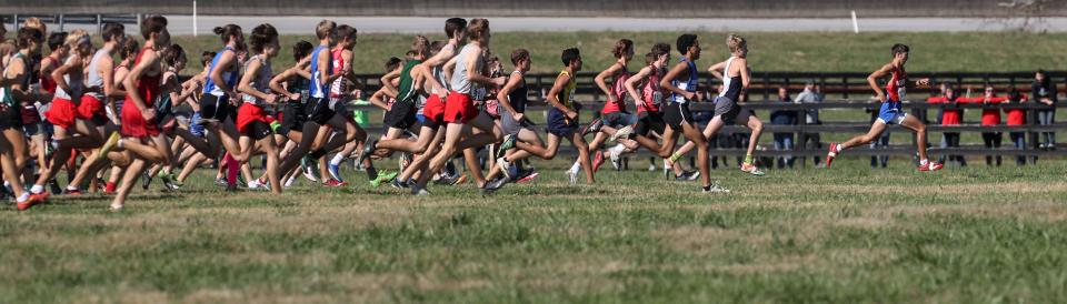 The pack is still together early on in the Class 2A State Championship in Cross Country on Nov. 2, 2019.