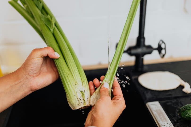 celery being prepared