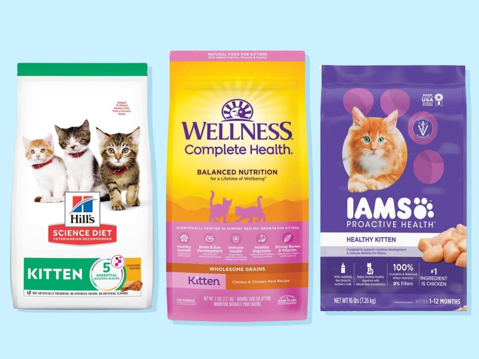 Bags of Hill’s, Wellness, and Iams dry kitten food on a blue background.