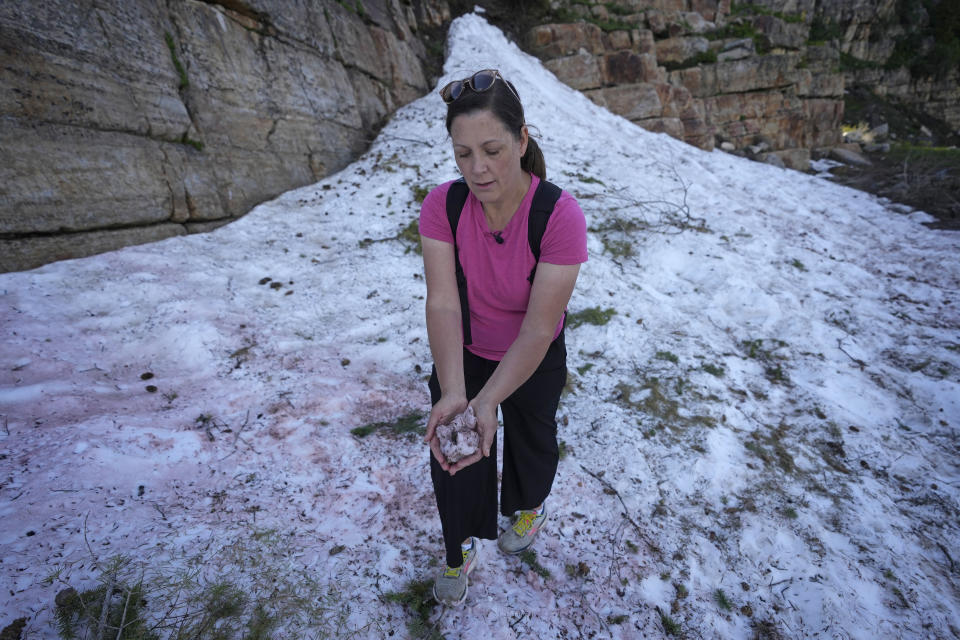 Jana Brough observes pink-hued snow gathered in her hand at Tony Grove Lake on Wednesday, June 28, 2023, near Logan, Utah. The snow's color has piqued the curiosities of hikers and campers throughout Utah this summer (AP Photo/Rick Bowmer)