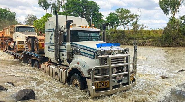 The truck driver was not to be intimidated by the four-metre croc. Source: Instagram/tommy_watkins