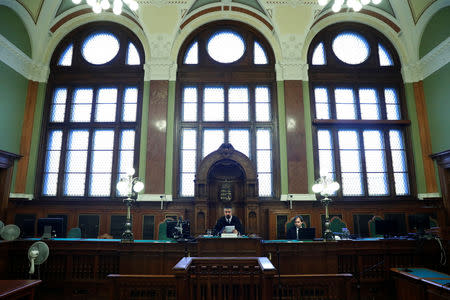 Hungarian judge Lajos Bene delivers a preliminary ruling in a lawsuit brought by Syrian migrant Ahmed Hamed against Prime Minister Viktor Orban's cabinet office over a government leaflet, which Hamed said had contained a defamatory statement about him in Budapest, Hungary, February 1, 2019. REUTERS/Bernadett Szabo