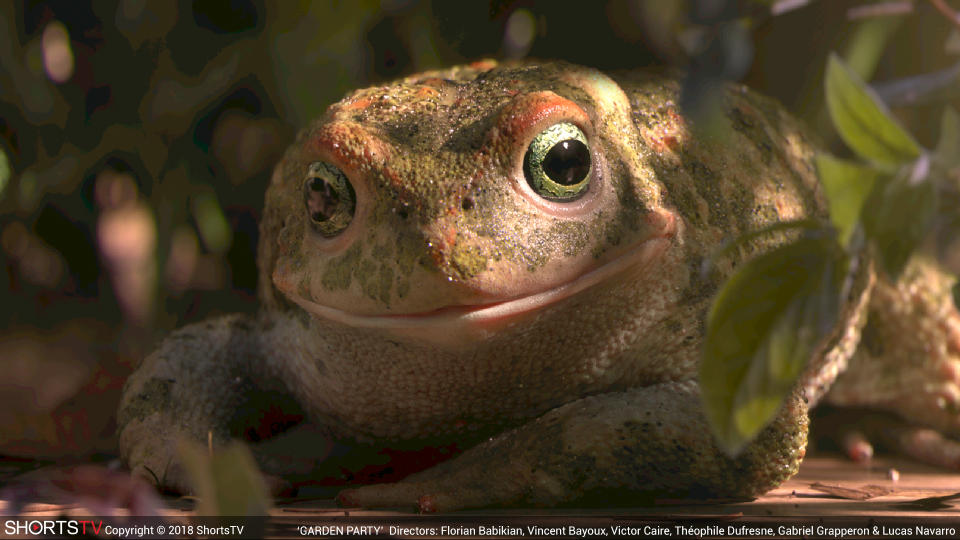 An amazingly lifelike CGI amphibian from <em>Garden Party.</em> (Photo: ShortsHD)